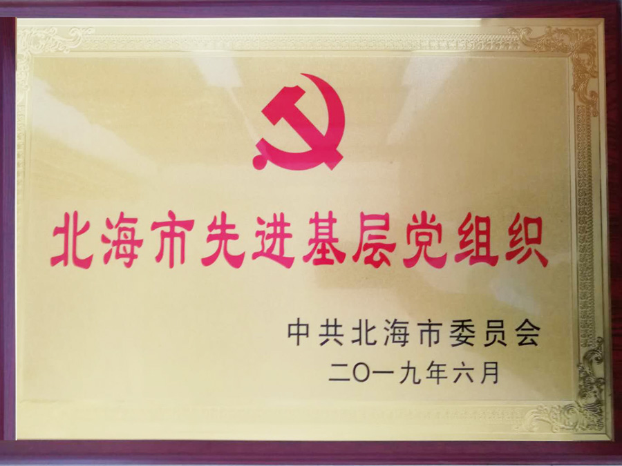 2019年北海市先進(jìn)基層黨組織