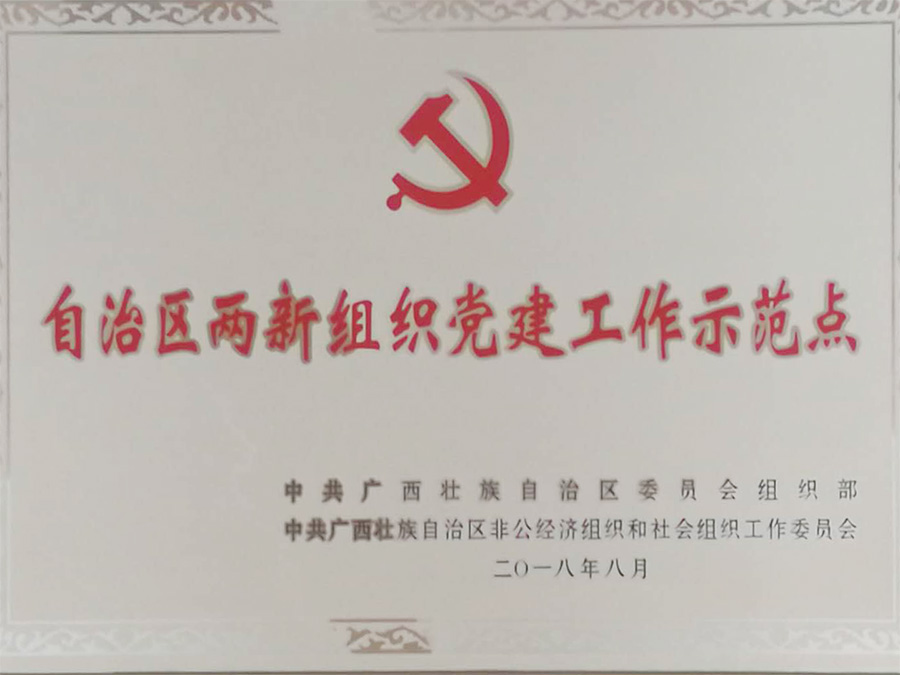 2018年自治區(qū)兩新示范點(diǎn)